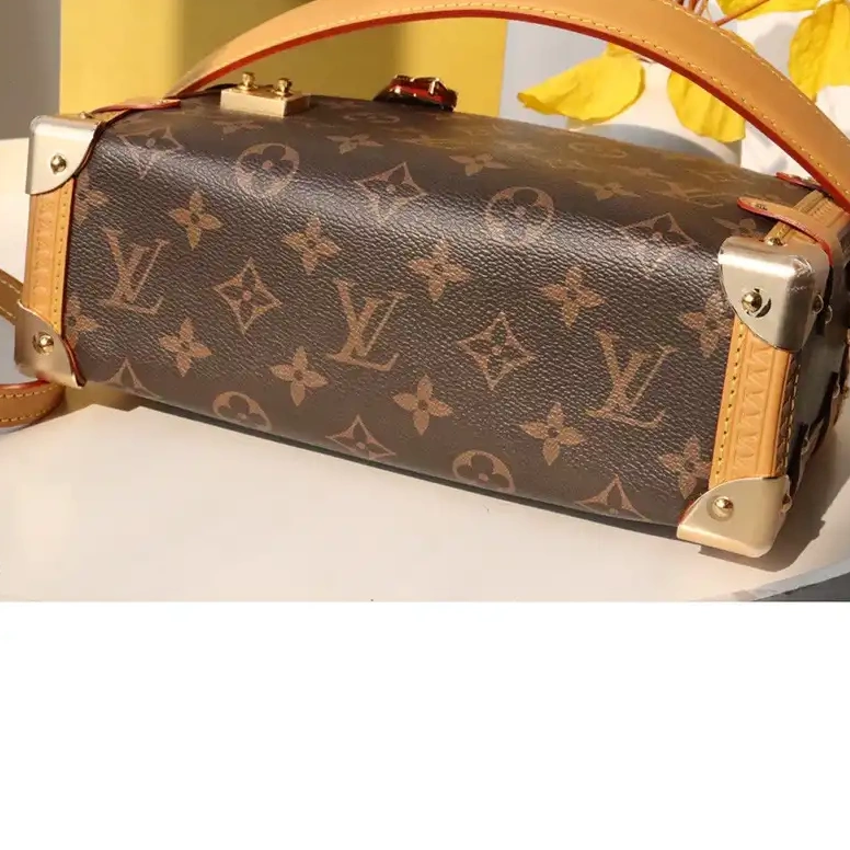 Official Brother Sam LV Bag 2306YA0168 0629